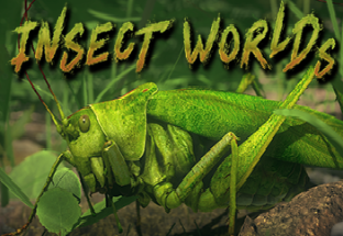 Insect Worlds